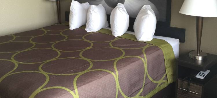 弗洛伦斯温德姆速 8 酒店(Super 8 by Wyndham Florence)图片