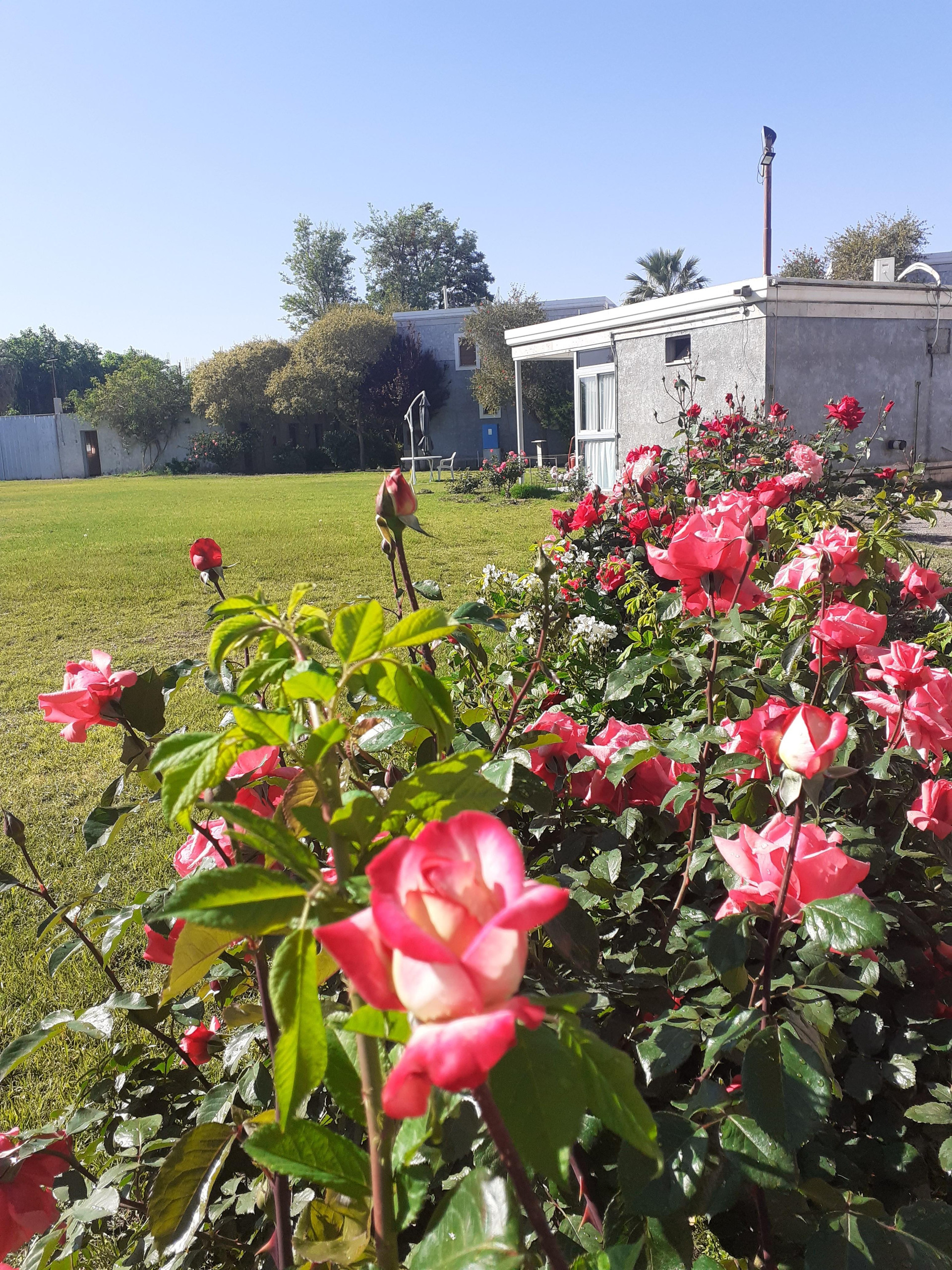 Parque Apart HotelOver view