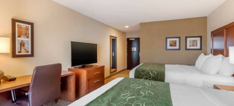 斯克内克塔迪-斯科迪亚舒适套房酒店(Comfort Inn & Suites Schenectady - Scotia)图片