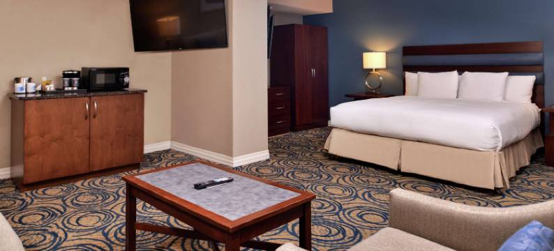 DoubleTree by Hilton Hotel Tampa Airport-Westshore图片