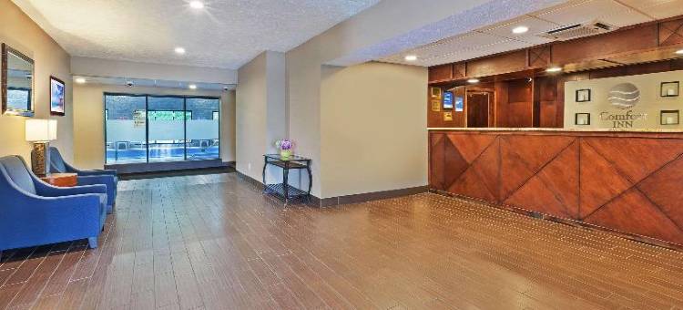 白厅舒适酒店 - 近密歇根冒险乐园(Comfort Inn Whitehall Near Michigan's Adventure)图片