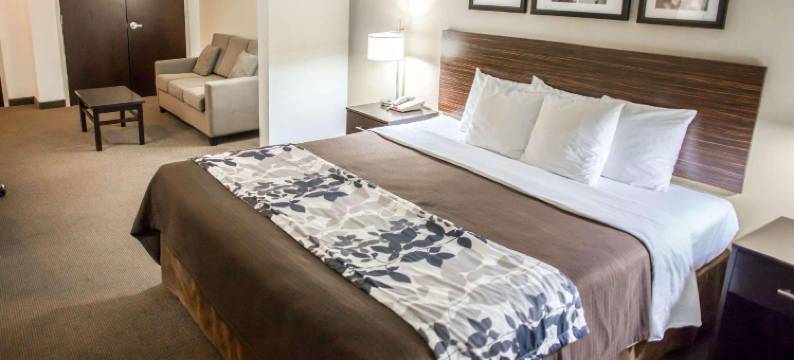 舒眠套房酒店-室内水上乐园(Sleep Inn & Suites Indoor Waterpark)图片