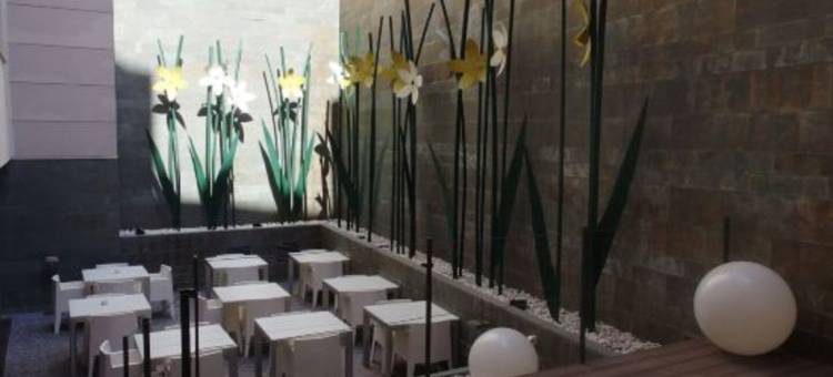 巴塞罗那佩斯塔纳阿雷纳酒店(Pestana Arena Barcelona)图片