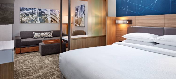 SpringHill Suites Los Angeles Downey图片