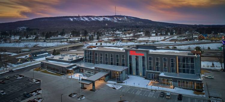 沃索希尔顿花园酒店(Hilton Garden Inn Wausau)图片
