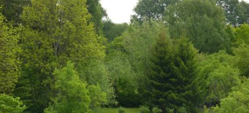 麦凯西保尔施图酒店(Pension Märkische Bauernstube)图片