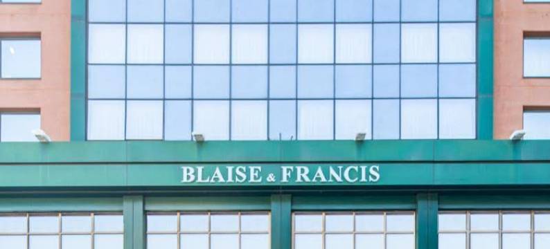 布莱丝法兰西斯酒店(Hotel Blaise & Francis)图片