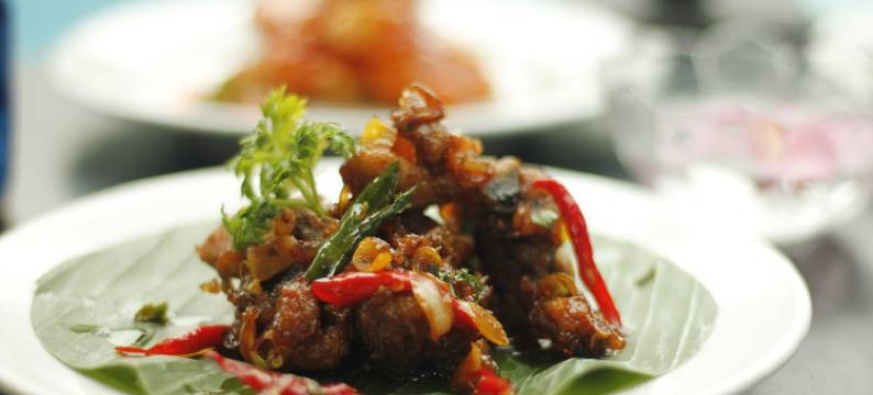 巴厘岛景观华丽度假别墅(The Baliview Luxury Villas & Resto)图片