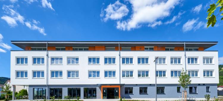 韦欣根城堡酒店(Hotel Schlossberg Wehingen)图片
