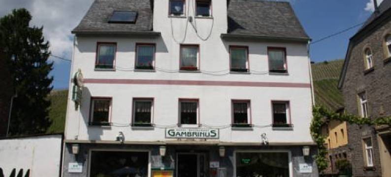 Hotel Gambrinus图片