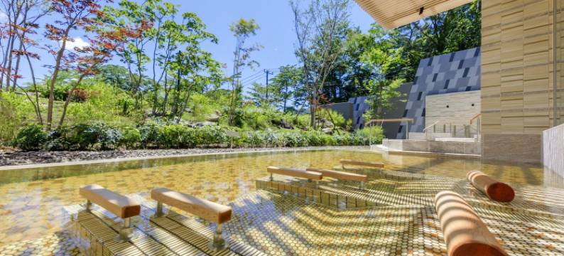 箱根芦之湖花织旅馆(Hakone Ashinoko Hanaori)图片