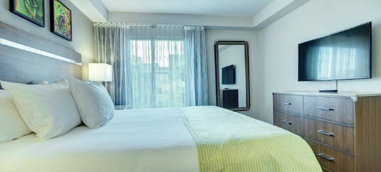 沙漠玫瑰度假酒店(Desert Rose Resort)图片