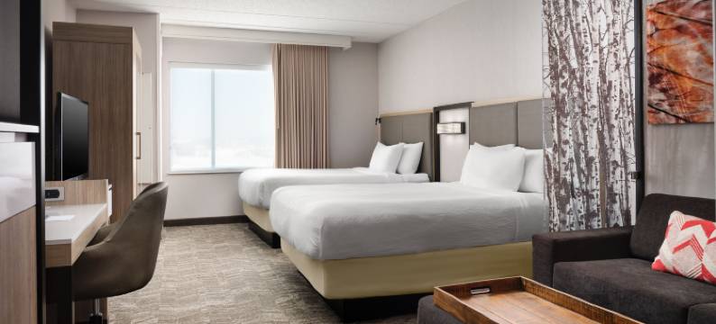 明尼阿波利斯圣保罗机场/美国购物中心SpringHill Suites酒店(SpringHill Suites Minneapolis-St. Paul Airport/Mall of America)图片