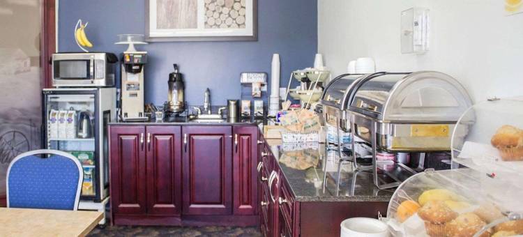 尼斯库艾德蒙顿机场温德姆华美达酒店(Ramada by Wyndham Nisku Edmonton Airport)图片