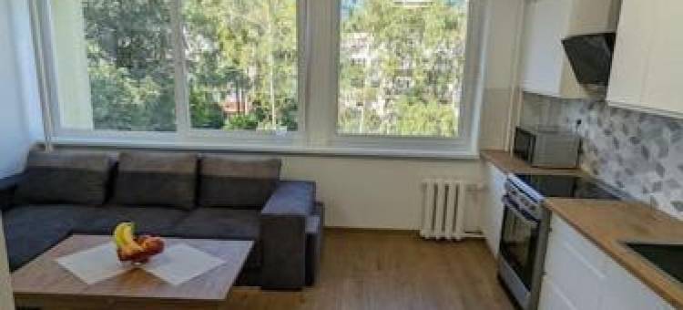 Lovely 2-Bedroom Flat in the Heart of Druskininkai图片