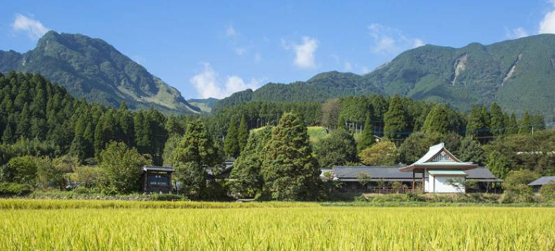 民和旅馆(Ryokan Minawa)图片