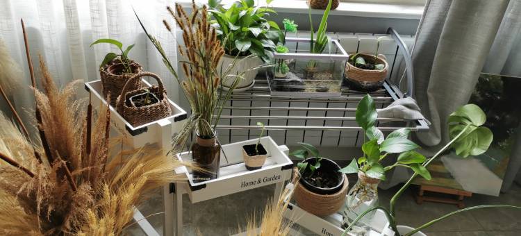 舍予云舍公寓(迎曙路2号分店)图片