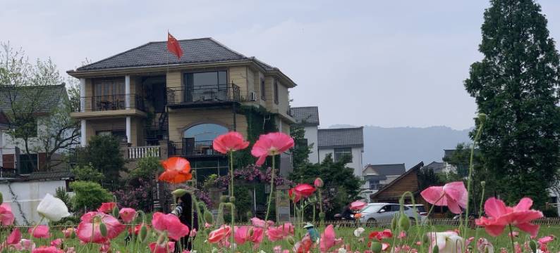 之江小筑民宿图片