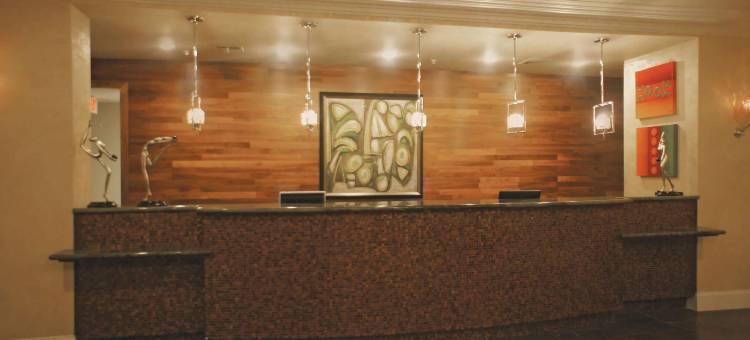 温德姆旗下拉昆塔温德姆酒店套房-布鲁萨尔-拉斐特地区(La Quinta Inn & Suites by Wyndham Broussard - Lafayette Area)图片