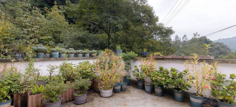 梧语特色民宿(青城山路分店)图片