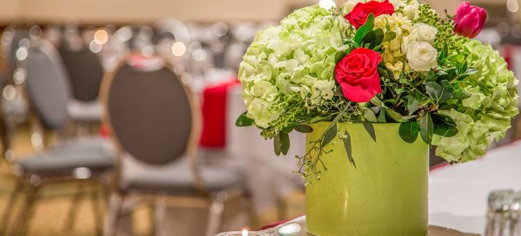 贝尔维尤116海岸酒店(Hotel 116, A Coast Hotel Bellevue)图片