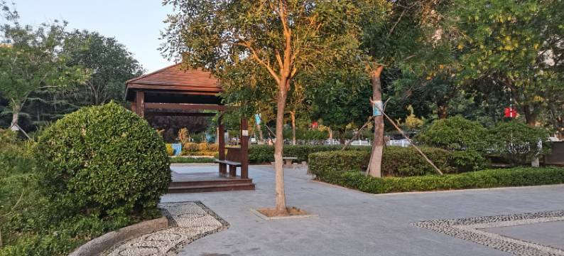 Jane简公寓(世昌大道分店)图片