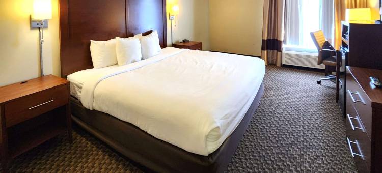 舒适套房酒店(Comfort Inn & Suites Mount Pocono)图片