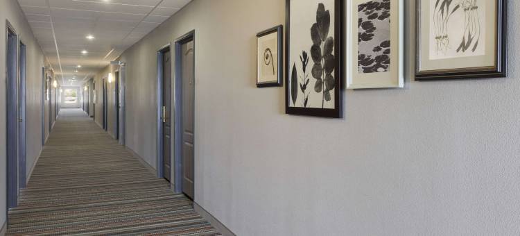 哈利森丽怡酒店(Country Inn & Suites by Radisson, Harrisonburg, VA)图片