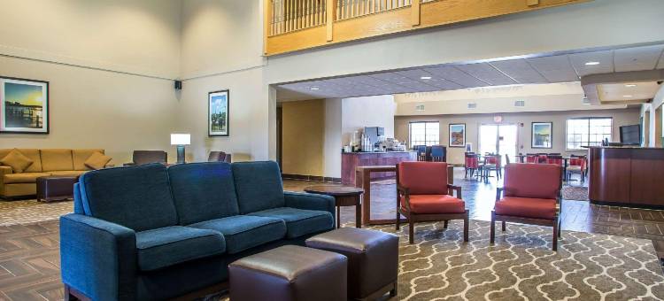 舒适套房酒店-德拉文日内瓦湖区(Comfort Suites Delavan - Lake Geneva Area)图片