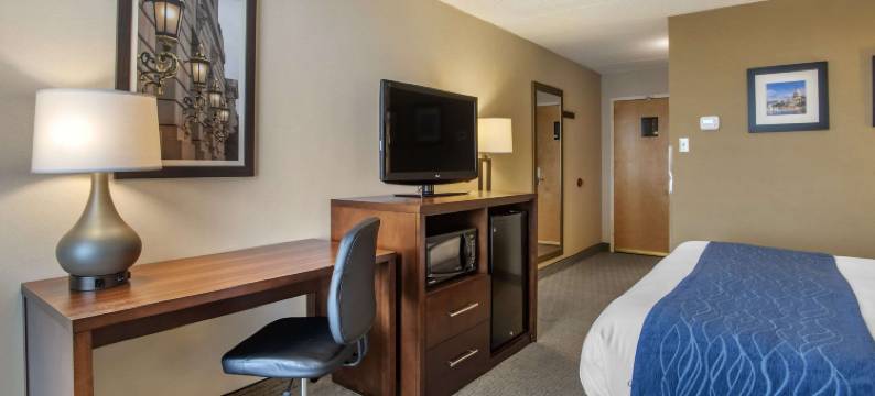 舒适酒店-盖瑟斯堡罗克维尔凉荫丛(Comfort Inn Shady Grove - Gaithersburg - Rockville)图片