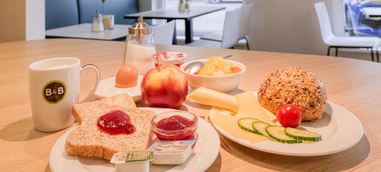 斯图加特-瓦和因根民宿酒店(B&B HOTEL Stuttgart-Vaihingen)图片