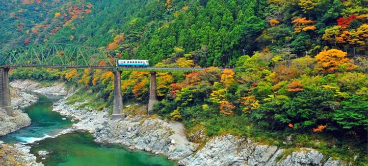 白地温泉 小西旅馆(Konishi Ryokan)图片