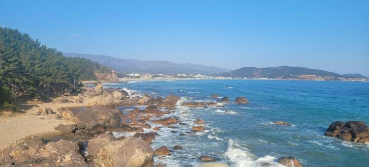 浦项Healing House旅馆(Pohang Healing House Pension)图片