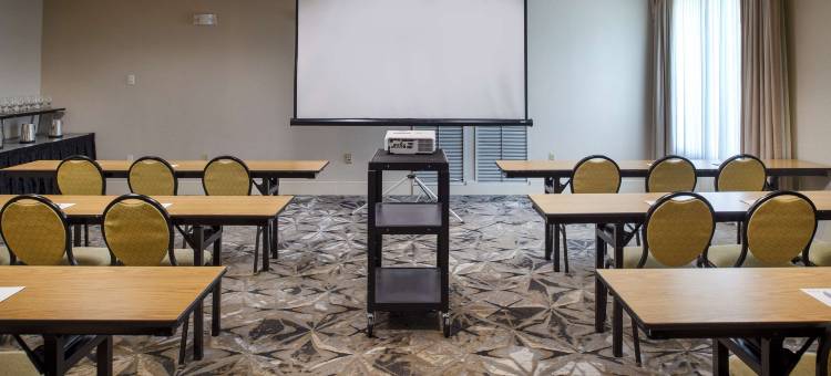 切斯特菲尔德圣路易斯希尔顿花园酒店(Hilton Garden Inn St. Louis/Chesterfield)图片
