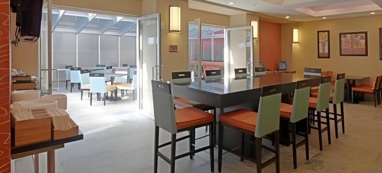 纽约曼哈顿/切尔西万豪万枫酒店(Fairfield by Marriott Inn & Suites New York Manhattan/Chelsea)图片