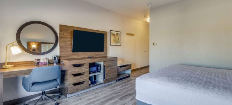 盖恩斯维尔欢朋套房酒店(Hampton Inn & Suites Gainesville)图片