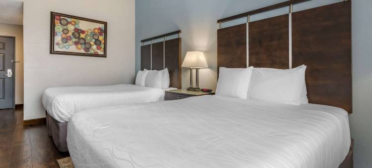 海牛贝斯特韦斯特优质酒店(Best Western Plus Bradenton Gateway Hotel)图片