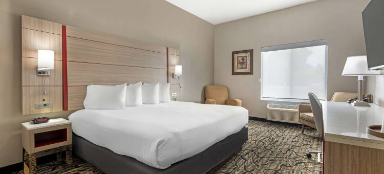 艾伯特利I-90/I-35贝斯特韦斯特优质酒店(Best Western Plus Albert Lea I-90/I-35 Hotel)图片