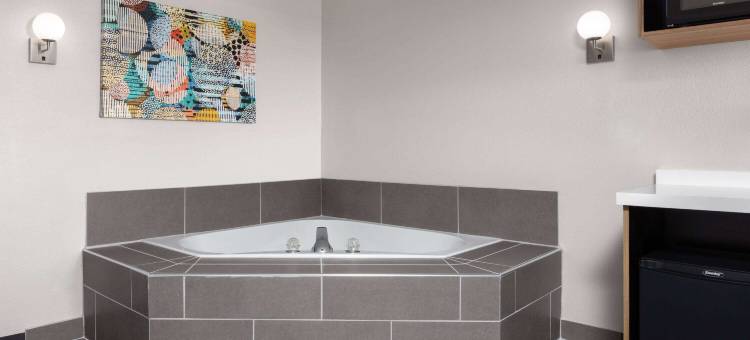 拉皮德城温德姆麦客达套房酒店(Microtel Inn & Suites by Wyndham Rapid City)图片