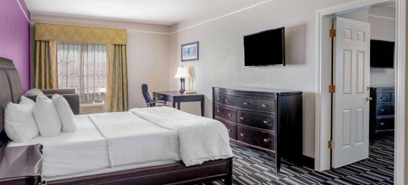 麦卡伦东阿拉莫拉昆塔温德姆套房酒店(La Quinta Inn & Suites by Wyndham Alamo - McAllen East)图片