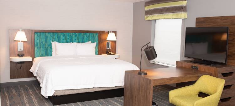 邓迪欢朋套房酒店邓迪(Hampton Inn & Suites by Hilton Dundee)图片