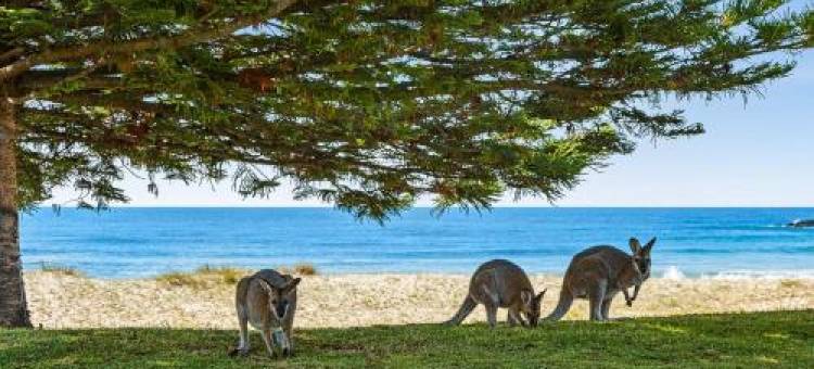 Paradise Retreat - Relax & Escape图片