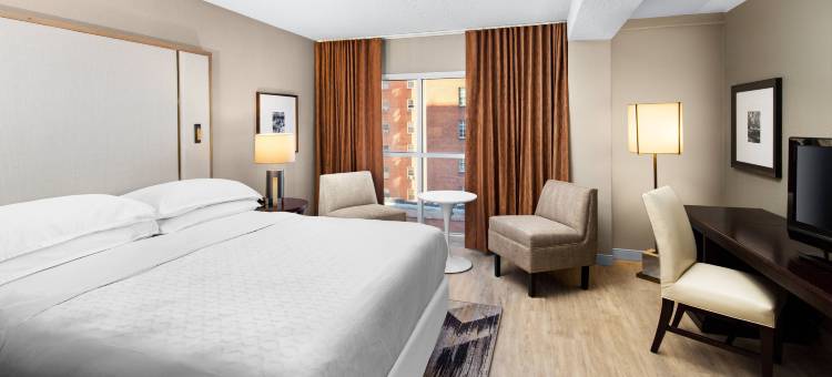 罗利喜来登酒店(Sheraton Raleigh Hotel)图片