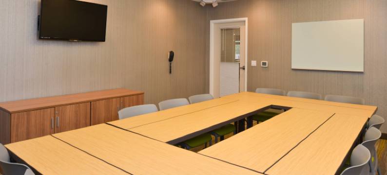 罗穆勒斯底特律都会机场万豪SpringHill酒店(SpringHill Suites Detroit Metro Airport Romulus)图片