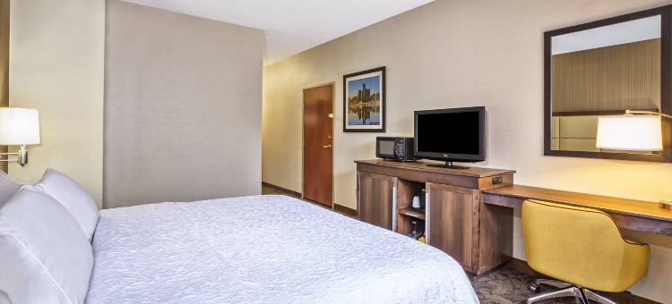 底特律-贝尔维尔机场区域欢朋旅馆(Hampton Inn Detroit/Belleville-Airport Area)图片