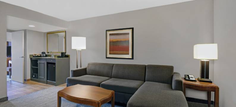 底特律利沃尼诺维希尔顿安泊酒店(Embassy Suites by Hilton Detroit Livonia Novi)图片