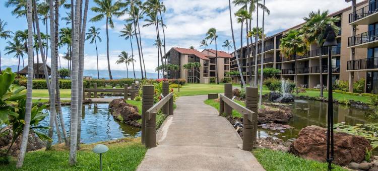 免度假村费及停车费精美海滨一层公寓配有空调.(No Resort or Parking Fees. Beautiful Ocean Front, Ground Level Condo with A/C.)图片