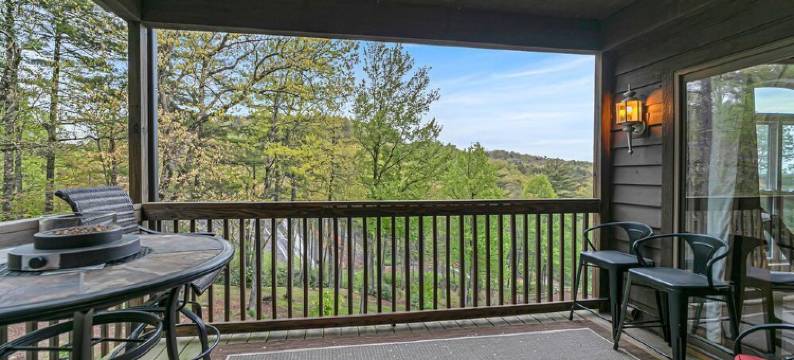 伦恩俯瞰托克萨韦瀑布的美丽、令人惊叹公寓大厦(Beautiful, Breathtaking Wren Condo overlooking Toxaway Falls)图片
