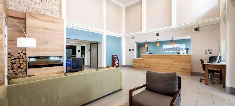 卡尔森、伯明翰 - 胡佛乡村酒店及套房(Sleep Inn & Suites)图片