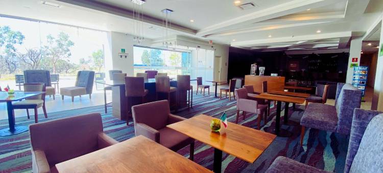 阿瓜斯卡连特斯拉昆塔温德姆酒店(La Quinta by Wyndham Aguascalientes)图片